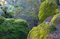 Pinnacles National Park, California