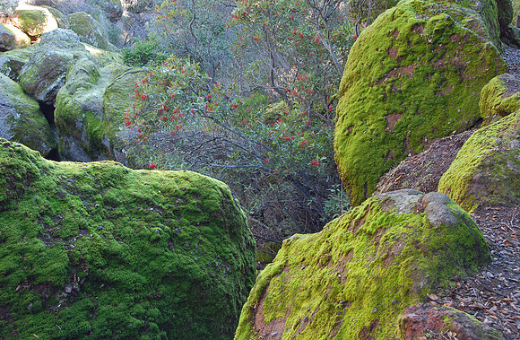 Pinnacles National Park, California