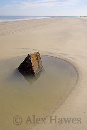 Remains of 1812 Battery, Wassaw Island, Georgia