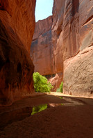 Paria Canyon