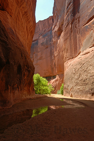 Buckskin Gulch near confluence with Paria Canyon, Utah - Arizona border