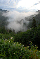 Great Smoky Mountains National Park, Tennessee / North Carolina border