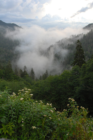 Great Smoky Mountains National Park, Tennessee / North Carolina border