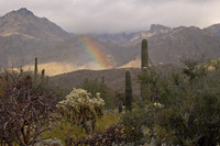 Sabino Canyon rainbow, Tucson, Arizona