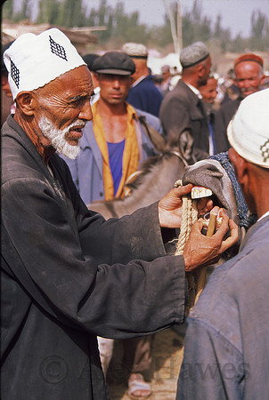 Uighur donkey salesman, Kashgar Sunday Market, Xinjiang Province, China
