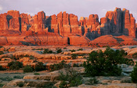 Cedar Mesa sandstone spires, Needle District of Canyonlands National Park, Utah