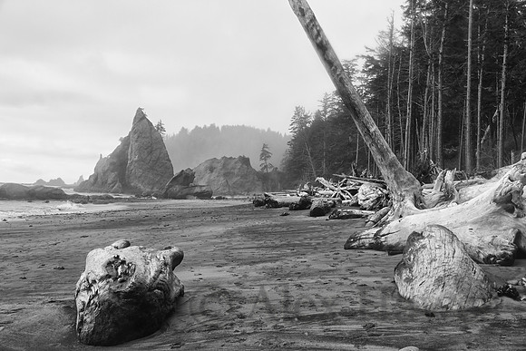 Rialto Beach, Olympic National Park Wilderness Coast, Washington