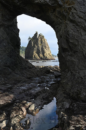 Hole-in-the-Wall, Rialto Beach, Olympic National Park Wilderness Coast, Washington