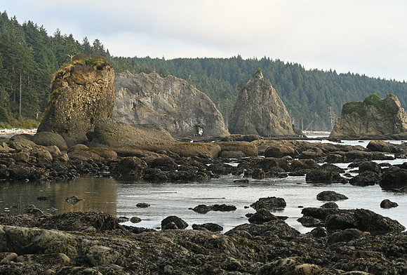 Rialto Beach, Olympic National Park Wilderness Coast, Washington