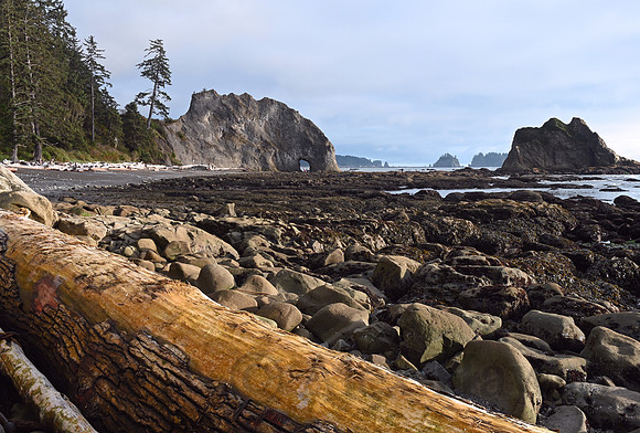 Rialto Beach, Olympic National Park Wilderness Coast, Washington