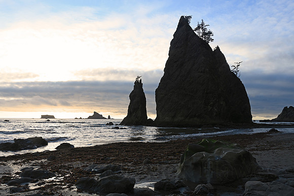 Rialto Beach, Olympic National Park Wilderness Coast, Washington