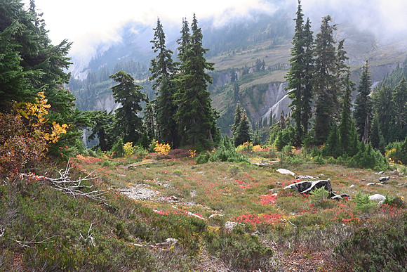 Mount Baker, North Cascades National Park, Washington