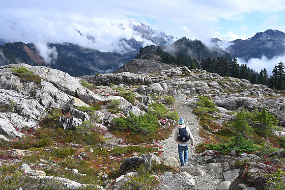 Mount Baker, North Cascades National Park, Washington