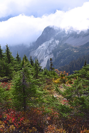 Mount Baker, North Cascades National Park, Washington