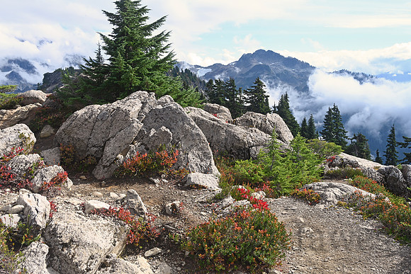 Mount Baker, North Cascades National Park, Washington