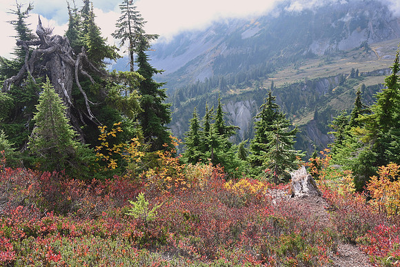 Mount Baker, North Cascades National Park, Washington