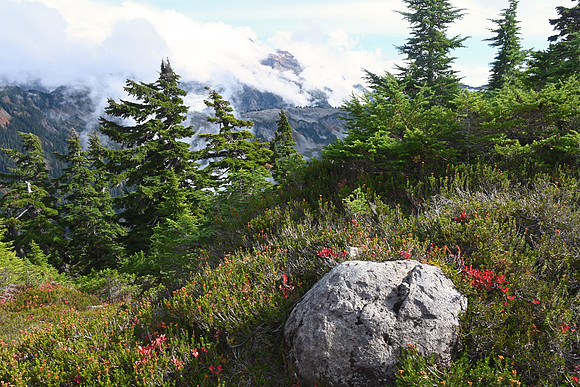 Mount Baker, North Cascades National Park, Washington