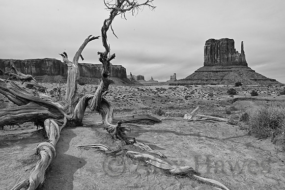 Monument Valley, Arizona