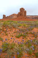 Monument Valley, Arizona