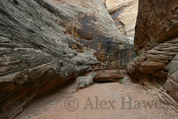 Capitol Reef National Park, Utah