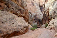 Capitol Reef National Park, Utah