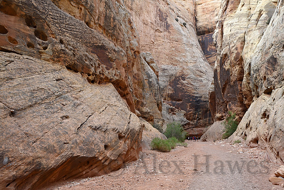 Capitol Reef National Park, Utah