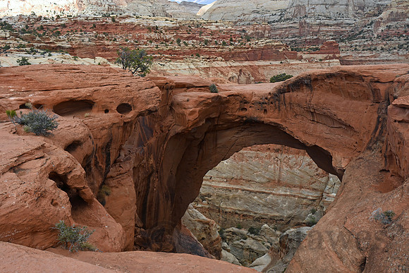 Capitol Reef National Park, Utah