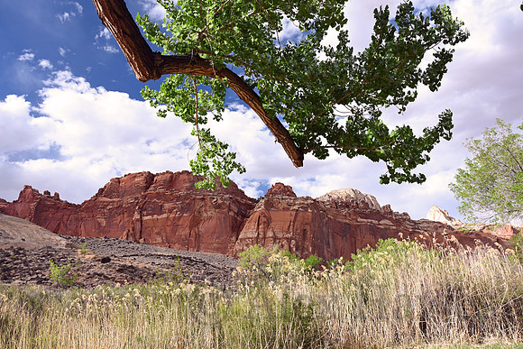 Capitol Reef National Park, Utah