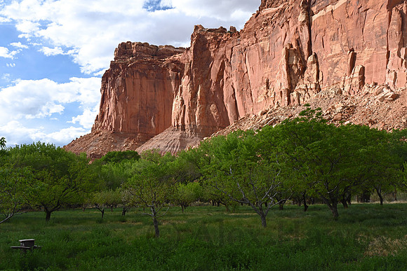 Capitol Reef National Park, Utah