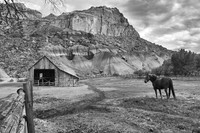 Capitol Reef National Park, Utah