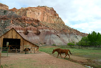 Capitol Reef National Park, Utah