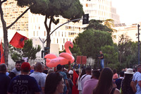 July Fourth Flamingo Revolution protests, Tirana, Albania