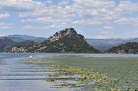 Shkodra Lake, Montenegro