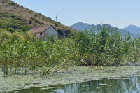 Shkodra Lake, Montenegro