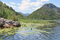 Shkodra Lake, Montenegro