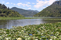 Shkodra Lake, Montenegro