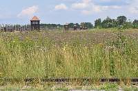 Auschwitz II-Birkenau concentration camp, Poland
