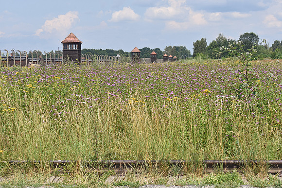 Auschwitz II-Birkenau concentration camp, Poland