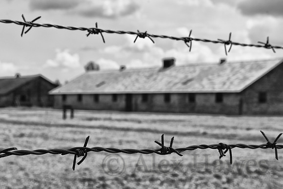 Auschwitz II-Birkenau concentration camp, Poland