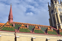 Holy Name of Mary Catholic Church, Novi Sad, Serbia