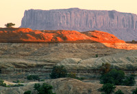 The Needles District, Canyonlands National Park, Utah