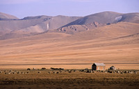 Herders and yurt, Song Kol Lake, central Kyrgyzstan