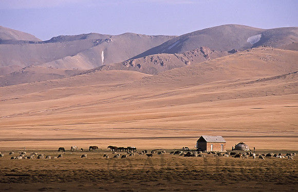 Herders and yurt, Song Kol Lake, central Kyrgyzstan