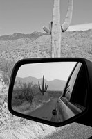 Saguaro in side mirror, Saguaro National Park East, Tucson