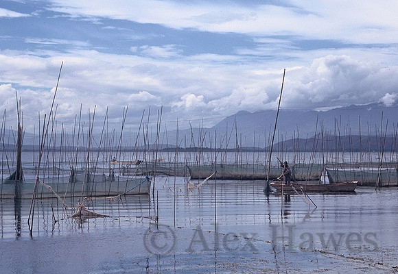 Fishing in Erhai Lake, Dali, Yunnan Province, China
