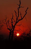 Sunset, Kruger National Park, South Africa
