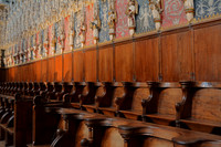 Cathedral of St. Cecilia, Albi, France