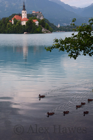 Lake Bled, Slovenia