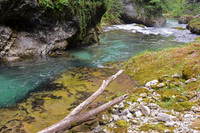 Vintgar Gorge, Slovenia
