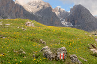Val Gardena, Dolomites, Italy